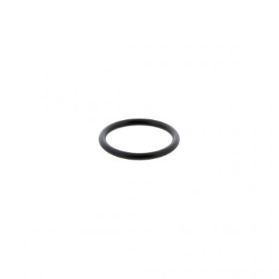 O-Ring, 975664