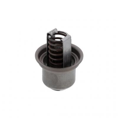 Detroit Diesel Thermostat, 23524520