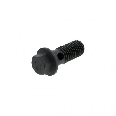 Cummins Banjo Screw, 3679037