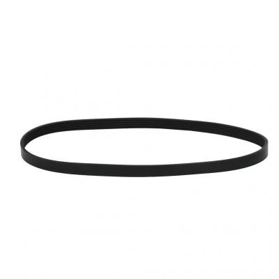 Cummins Serpentine Belt, 3037425