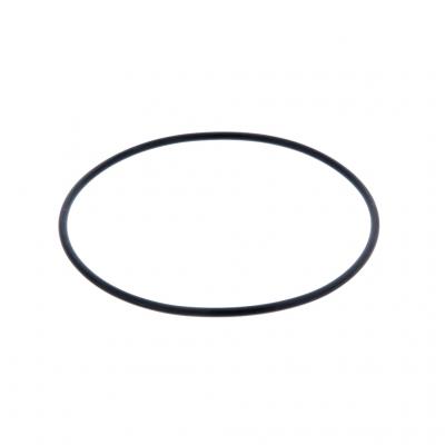 Navistar O-Ring, 1836786C1