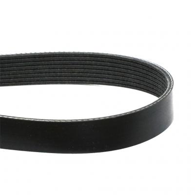 Belt Serpentine, 21460409