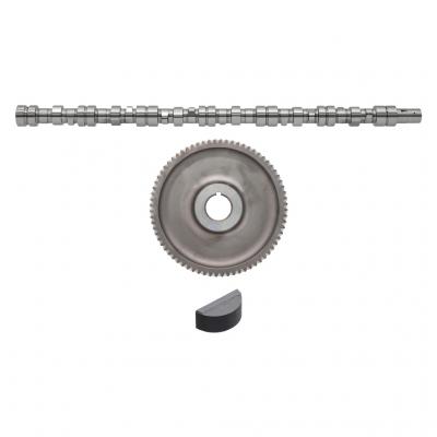 Cummins Camshaft And Gear Kit, 3049026