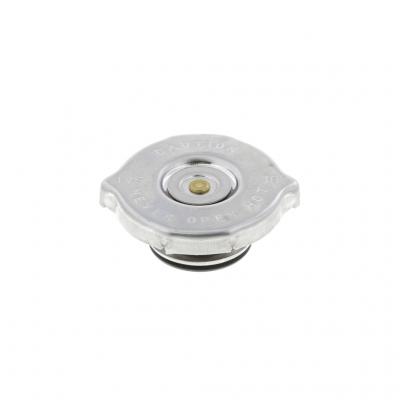 Navistar Surge Tank Cap, 3589278C3