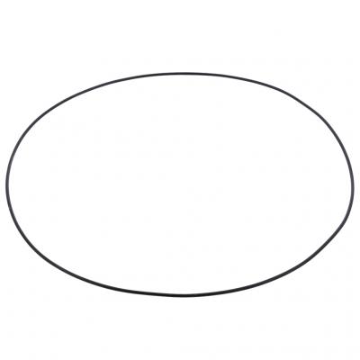 Cummins O-Ring, 4019275