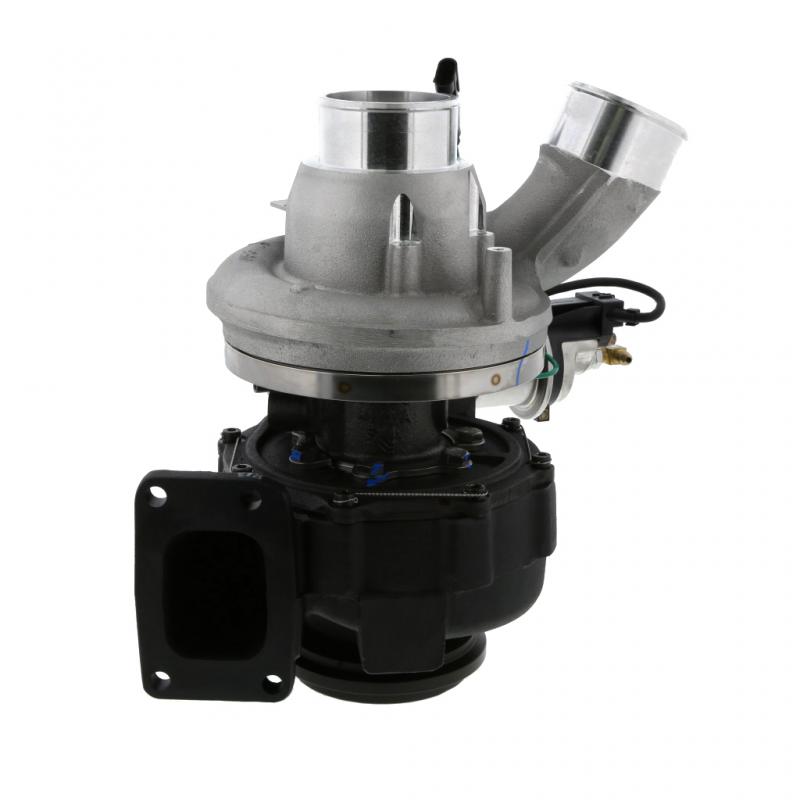 エギ 33本まとめ売り エギ33本まとめ売り