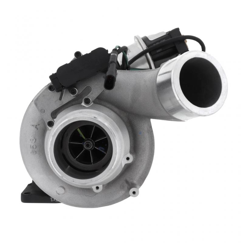 エギ33本まとめ売り