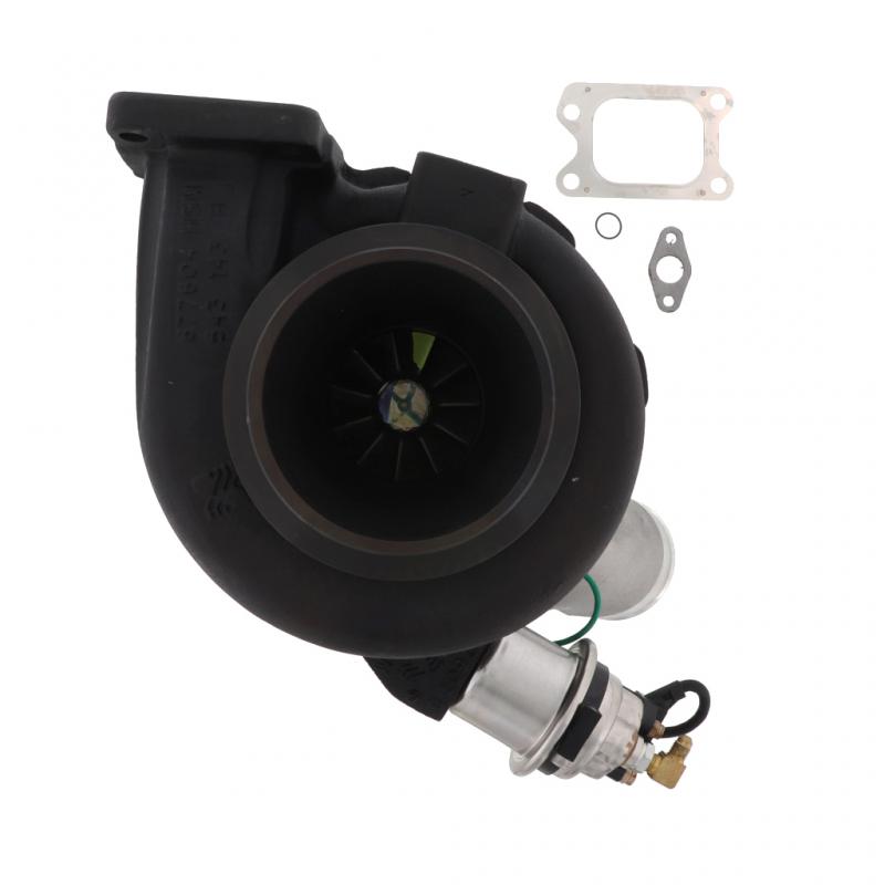 エギ33本まとめ売り